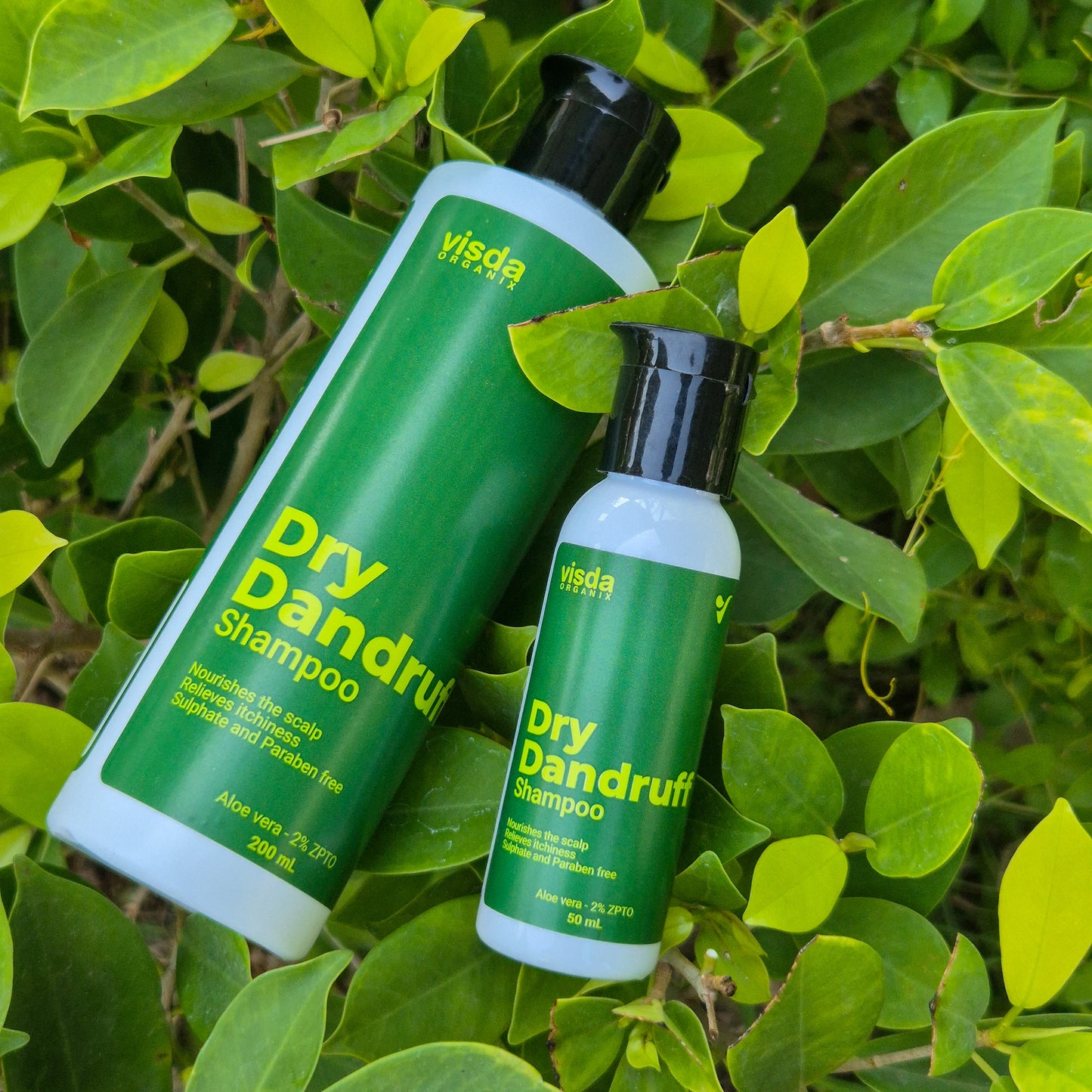 Dry Dandruff Shampoo